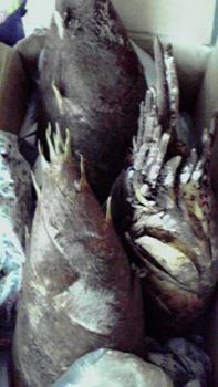 197(W)×350(H) 14.77