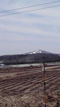 197(W)×350(H) 11.19