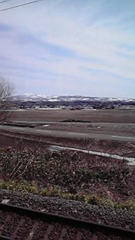 197(W)×350(H) 12.99