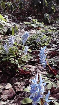 197(W)×350(H) 26.77