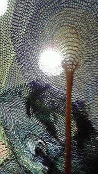 197(W)×350(H) 23.45