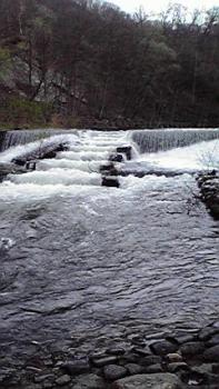 197(W)×350(H) 17.43