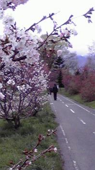 197(W)×350(H) 16.05