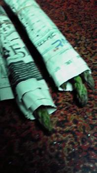 197(W)×350(H) 13.88