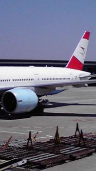 197(W)×350(H) 11.02