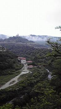 197(W)×350(H) 11.42