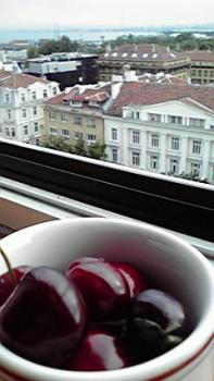 197(W)×350(H) 14.71