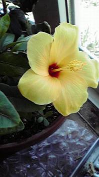 197(W)×350(H) 12.83