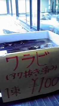 197(W)×350(H) 12.28