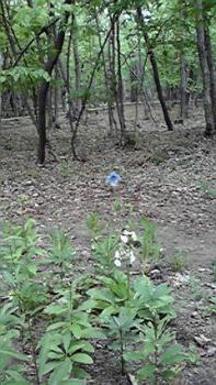 197(W)×350(H) 22.85