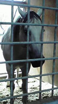 197(W)×350(H) 14.48