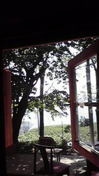 197(W)×350(H) 16.44