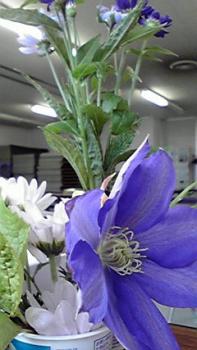 ファイル名: 2010061712530000.jpg
ファイルサイズ: 15.37KB 197(W)×350(H) 15.37