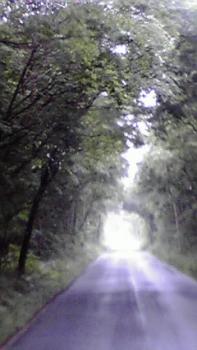 197(W)×350(H) 13.24