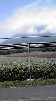 197(W)×350(H) 12.07