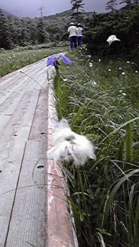 197(W)×350(H) 18.56