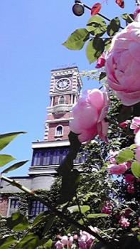 ファイル名: 2010071611270000.jpg
ファイルサイズ: 19.24KB 197(W)×350(H) 19.24