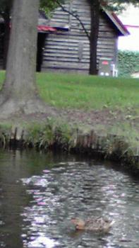 ファイル名: 2010072211220001.jpg
ファイルサイズ: 14.11KB 197(W)×350(H) 14.11