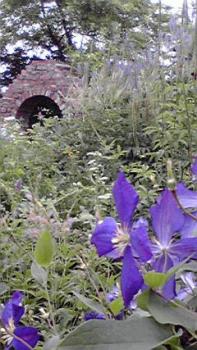 197(W)×350(H) 21.27