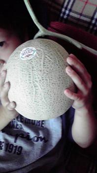 197(W)×350(H) 12.04