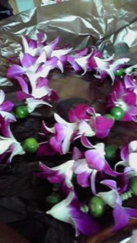 197(W)×350(H) 17.27