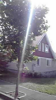 197(W)×350(H) 14.73