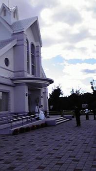 197(W)×350(H) 11.89