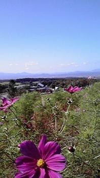 ファイル名: 2010100110530001.jpg
ファイルサイズ: 15.38KB 197(W)×350(H) 15.38