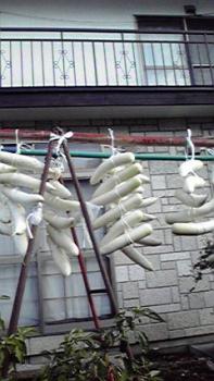 197(W)×350(H) 17.03