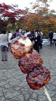 197(W)×350(H) 18.74