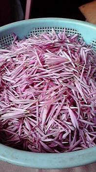 197(W)×350(H) 21.15