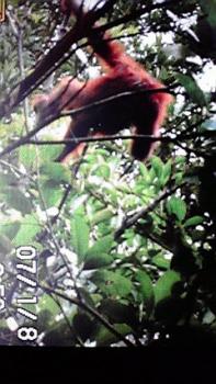 197(W)×350(H) 19.39