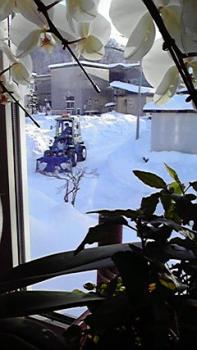 197(W)×350(H) 15.93