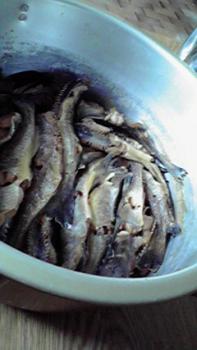 197(W)×350(H) 12.86