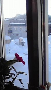 ファイル名: 2011020208010000.jpg
ファイルサイズ: 11.88KB 197(W)×350(H) 11.88