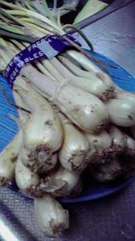 197(W)×350(H) 14.57