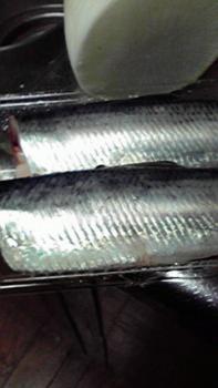 197(W)×350(H) 11.02