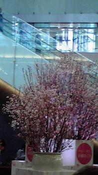 197(W)×350(H) 16.04