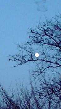 197(W)×350(H) 12.91