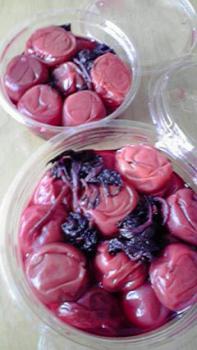 197(W)×350(H) 14.65