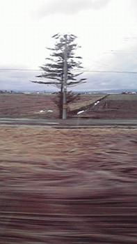 197(W)×350(H) 10.64