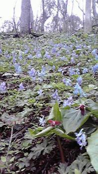 197(W)×350(H) 22.92