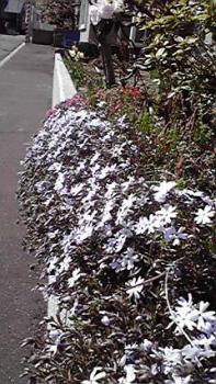 197(W)×350(H) 26.72