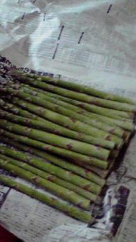 197(W)×350(H) 14.04