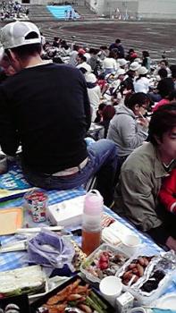 197(W)×350(H) 19.79