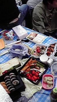 197(W)×350(H) 19.85