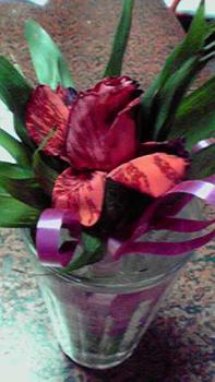 197(W)×350(H) 15.19