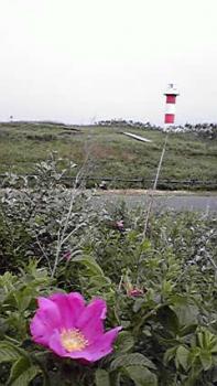 197(W)×350(H) 15.47