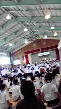 197(W)×350(H) 15.68