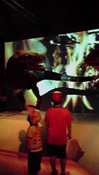 197(W)×350(H) 11.75